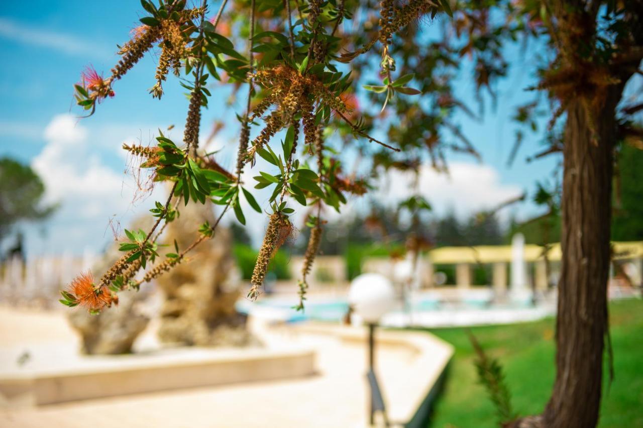 Villa Conca Marco Torre dell'Orso Luaran gambar